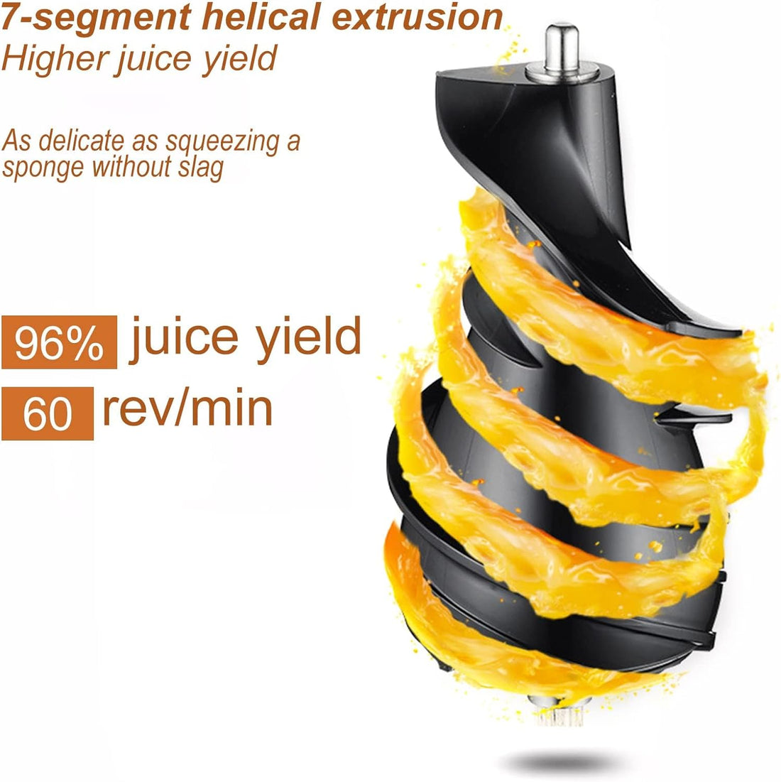 300W Slow Masticating Juice